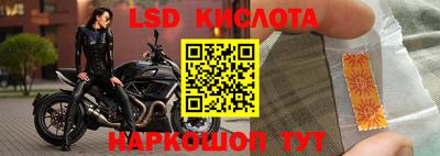 хмурый Тара