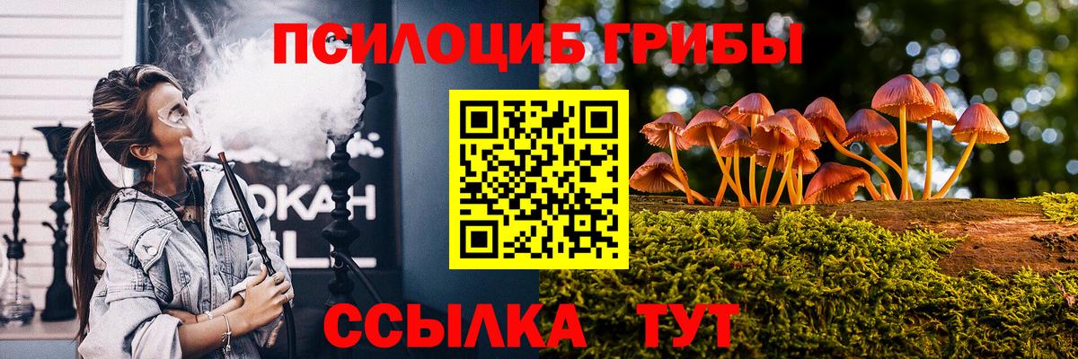цены   Вход с VPN  Пенза  Псилоцибиновые грибы Psilocybine cubensis 