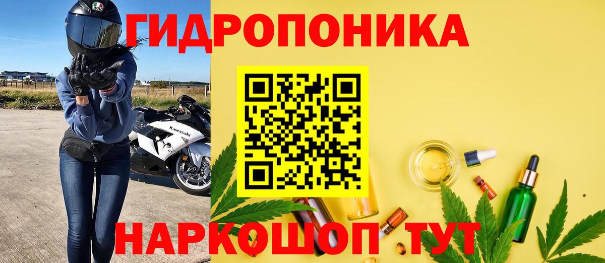 Пенза  Каннабис план  Вход с VPN  Конопля SATIVA & INDICA 